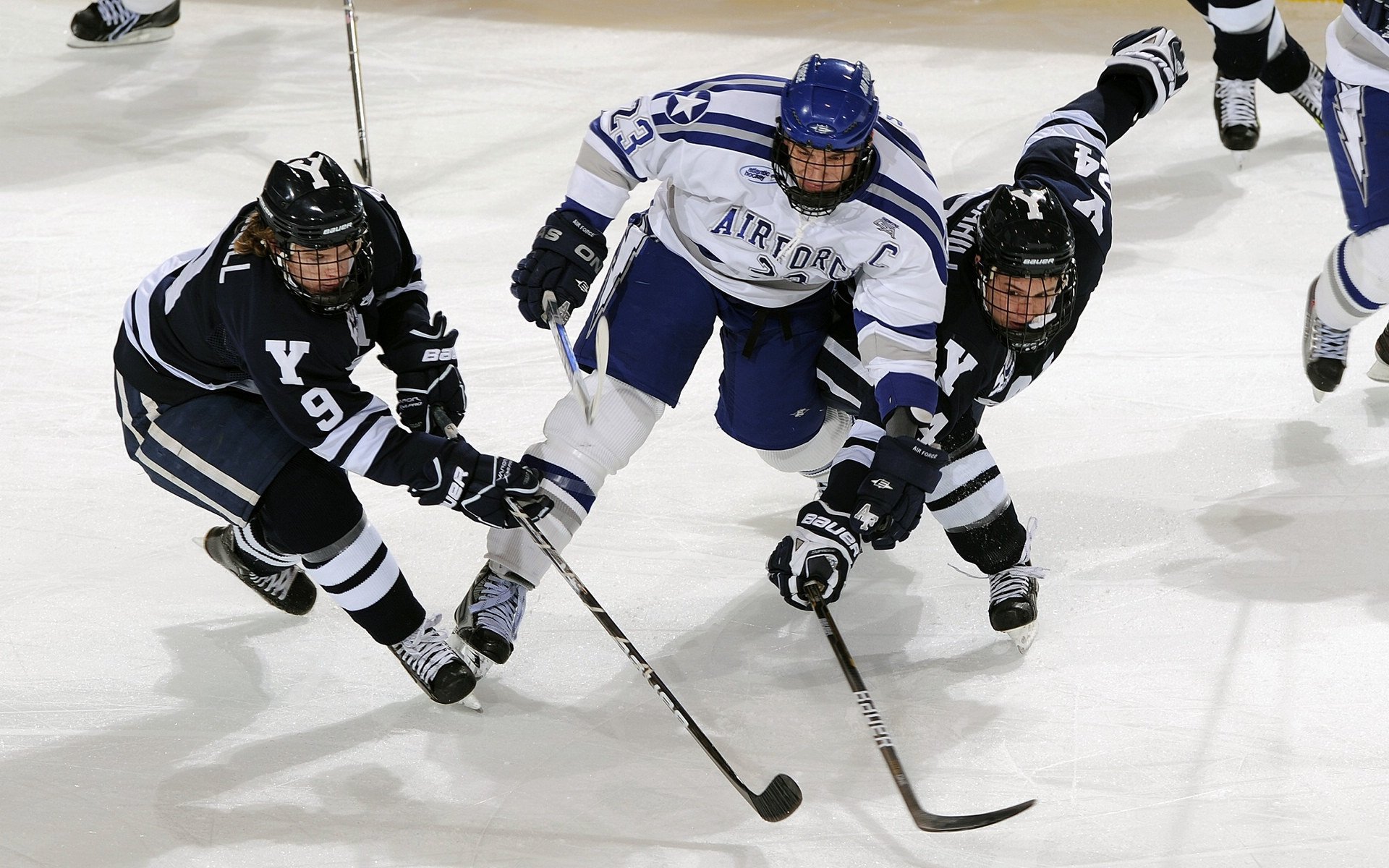 JIUYOU GAMING-“全力出击！四川省体育馆自由搏击选手激战正酣”