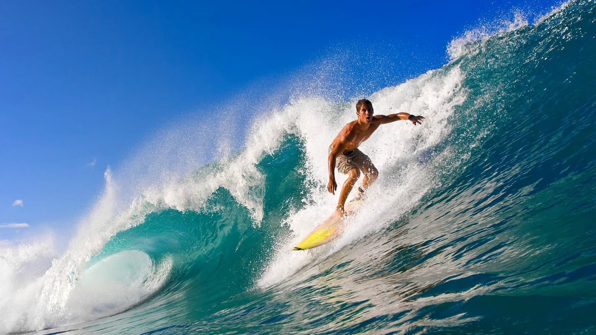 九游体育登录入口-“2025世界运动会：高新体育中心健力赛事精彩纷呈，选手激情四溢”