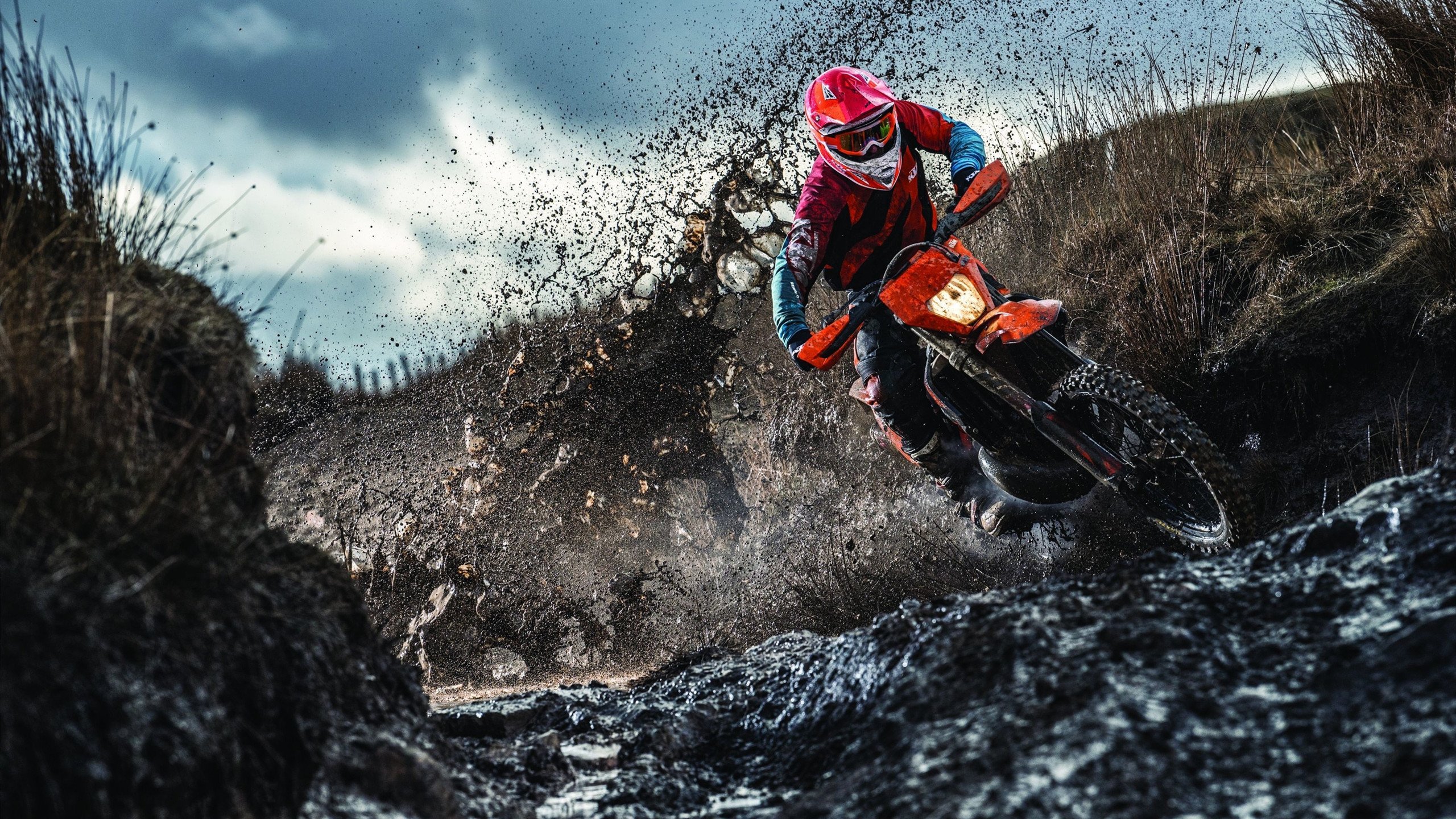 内线球员在快节奏体系下的功能性演变，内线球员的主要作用